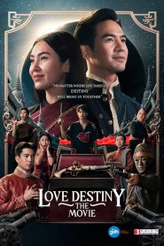 مشاهدة فيلم Love Destiny: The Movie 2022 مترجم