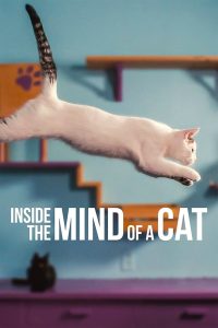 مشاهدة فيلم Inside the Mind of a Cat 2022 مترجم