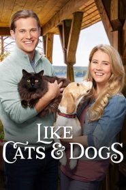 مشاهدة فيلم Like Cats and Dogs 2017 مترجم