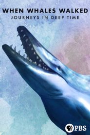 فيلم When Whales Walked: Journeys in Deep Time 2019 مترجم