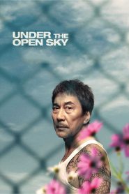 مشاهدة فيلم Under The Open Sky 2021 مترجم