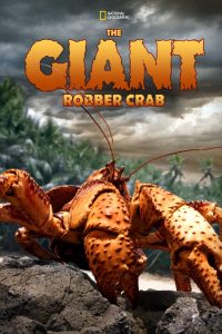 مشاهدة فيلم The Giant Robber Crab 2019 مترجم