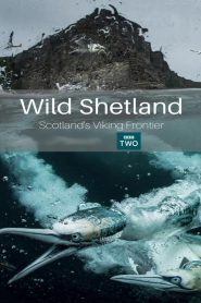 فيلم Wild Shetland: Scotland’s Viking Frontier 2019 مترجم