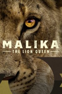 مشاهدة فيلم Malika the Lion Queen 2021 مترجم