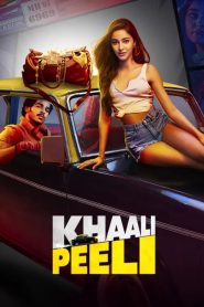 مشاهدة فيلم Khaali Peeli 2020 مدبلج