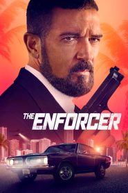 مشاهده فيلم The Enforcer 2022 مترجم