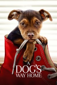 مشاهدة فيلم A Dog’s Way Home 2019 مترجم