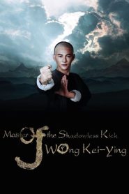 مشاهدة فيلم Master Of The Shadowless Kick Wong Kei-Ying 2016 مترجم