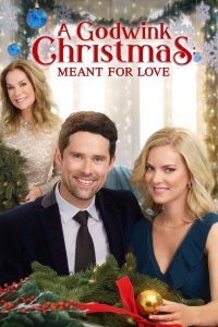 فيلم A Godwink Christmas: Meant for Love 2019 مترجم