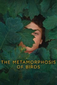 مشاهدة فيلم The Metamorphosis of Birds 2020 مترجم