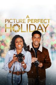 فيلم A Picture Perfect Holiday 2021 مترجم