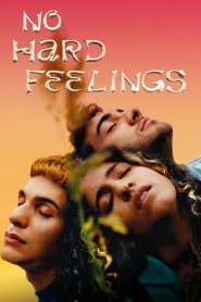 مشاهدة فيلم No Hard Feelings 2020 مترجم