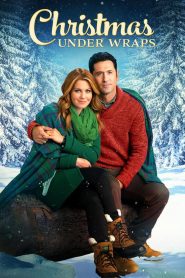 مشاهدة فيلم Christmas Under Wraps 2014 مترجم