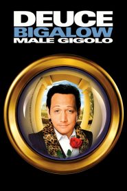 مشاهدة فيلم Deuce Bigalow: Male Gigolo 1999 مترجم