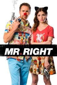 مشاهدة فيلم Mr. Right 2015 مترجم