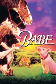 مشاهدة فيلم Babe 1995 مترجم