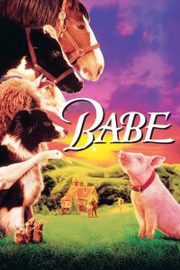 مشاهدة فيلم Babe 1995 مترجم