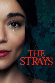 مشاهدة فيلم The Strays 2023 مترجم