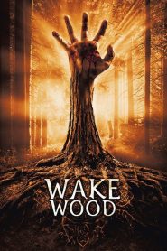 مشاهدة فيلم Wake Wood 2009 مترجم