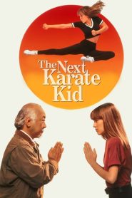 مشاهدة فيلم The Next Karate Kid 1994 مترجم