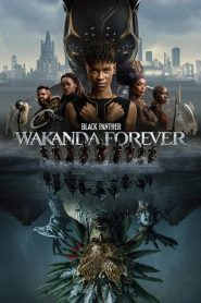 فيلم Black Panther: Wakanda Forever 2022 مدبلج