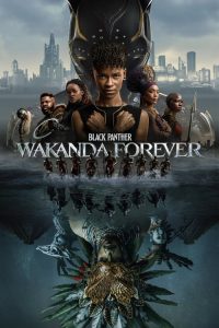 فيلم Black Panther: Wakanda Forever 2022 مدبلج