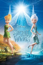 مشاهدة فيلم Secret of the Wings 2012 مدبلج