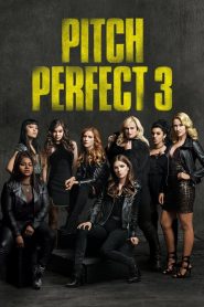 مشاهدة فيلم Pitch Perfect 3 2017 مترجم