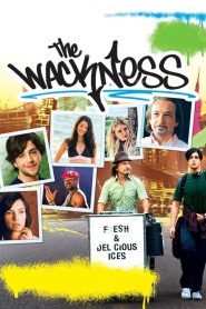 مشاهدة فيلم The Wackness 2008 مترجم