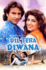 مشاهدة فيلم Dil Tera Diwana 1996 مترجم