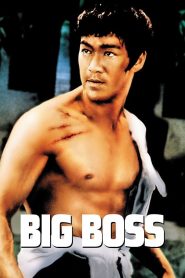 مشاهدة فيلم The Big Boss 1971 مترجم