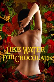 مشاهدة فيلم Like Water for Chocolate 1992 مترجم