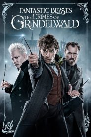 Fantastic Beasts The Crimes of Grindelwald 2018 مترجم