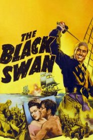 فيلم The Black Swan 1942 مترجم