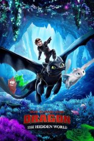 فيلم How to Train Your Dragon: The Hidden World 2019 مدبلج