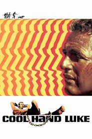 فيلم Cool Hand Luke