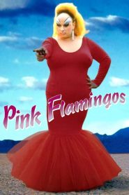 مشاهدة فيلم Pink Flamingos 1972 مترجم