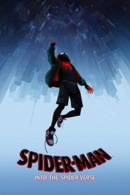 فيلم Spider-Man: into the Spider Verse 2018 مدبلج