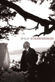 فيلم Wild Strawberries