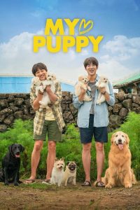 مشاهدة فيلم My Heart Puppy 2023 مترجم