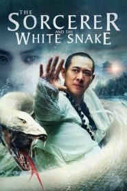 فيلم The Sorcerer and the White Snake 2011 مترجم