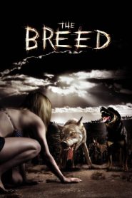 مشاهدة فيلم The Breed 2006 مترجم