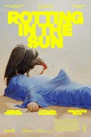 مشاهدة فيلم Rotting in the Sun 2023 مترجم