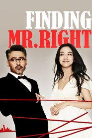 مشاهدة فيلم Finding Mr. Right 2013 مترجم