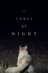 مشاهدة فيلم It Comes at Night 2017 مترجم