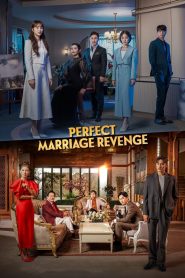 مسلسل Perfect Marriage Revenge