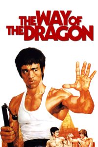 مشاهدة فيلم The Way of the Dragon 1972 مترجم