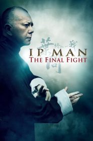 فيلم Ip Man: The Final Fight 2013 مترجم