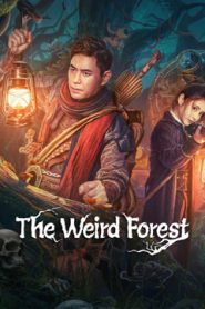 مشاهدة فيلم The Weird Forest مترجم