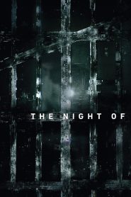 The Night Of: الموسم 1